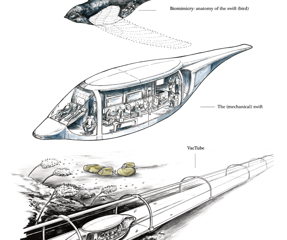 Swift-biomimicry-transport-future